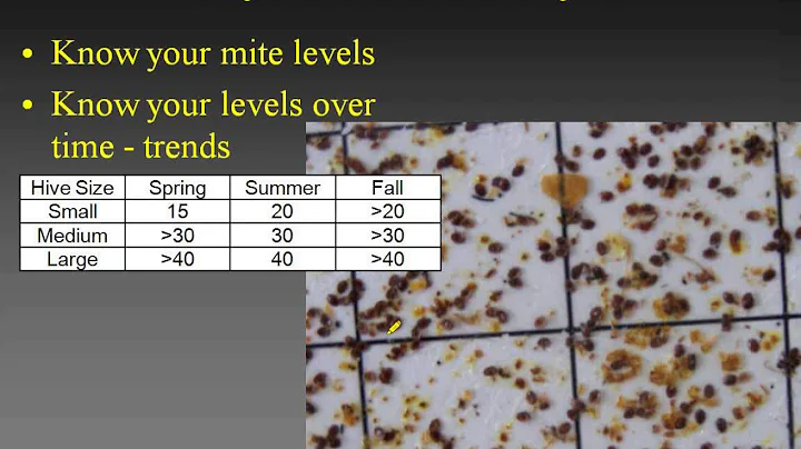 Getting Your Hives Ready For Winter with Kim Flottum