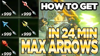 7 Ways to Get MAX ARROWS in Breath of the Wild | Austin John Plays screenshot 3