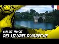 Sur les traces des silures dardeche   black cat fishing