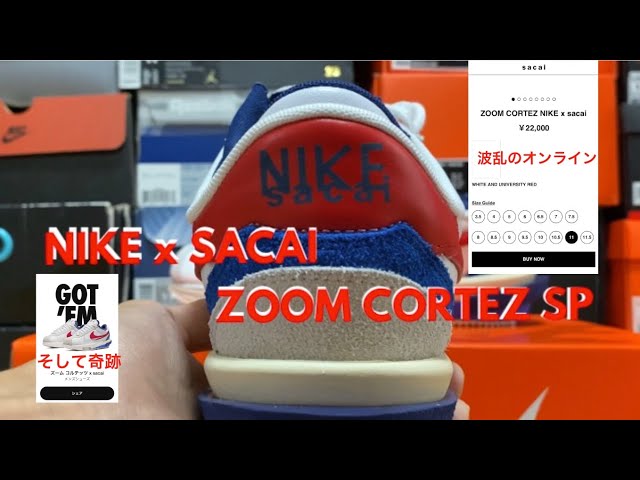 NIKE x SACAI ZOOM CORTEZ SP "Tricolor" review & on feet!! - YouTube