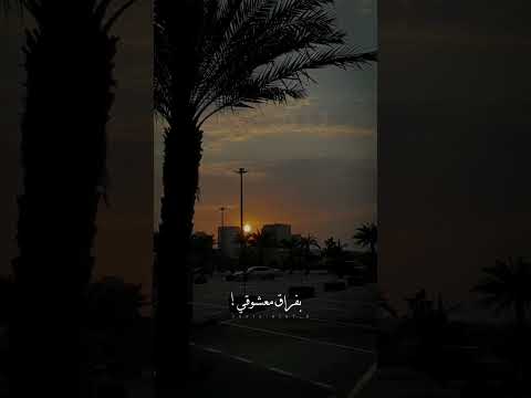 ياشوق يا ليل الليل ياليل يا شوقي ط غريب ال مخلص