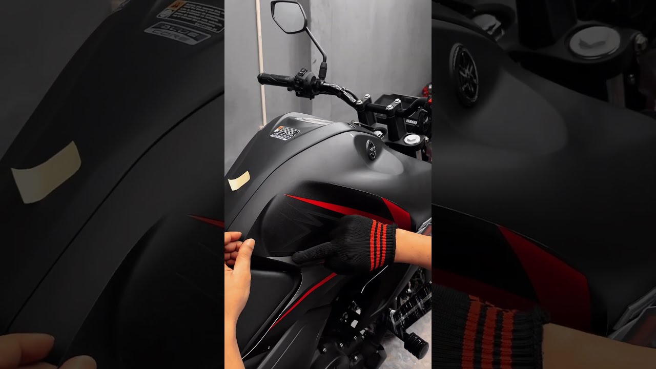 Fzs V3 V4 Sticker