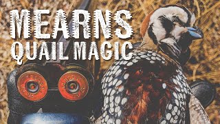 The Magic of MEARNS QUAIL Hunting! Intoxicating Covey Rises!