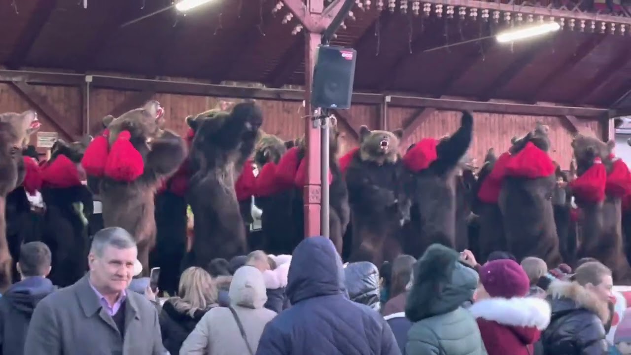 Ceata Haghiac din Dofteana @ Festivalul de Datini si Obiceiuri 2022/2023 din Dofteana