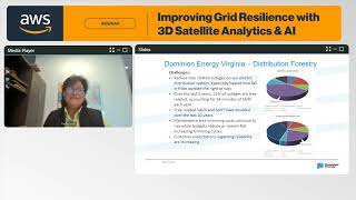 Dominion Energy Taps LiveEO’s Expertise to Reduce Tree-Related Power Outages