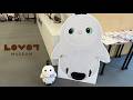 【 2026/04/30 ライブ配信】LOVOT MUSEUMを覗いてみよう！！詳細は概要欄
