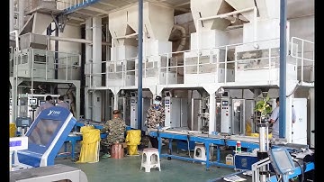 WIN-ALL High-tech Seeds primary and secondary packaging line