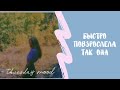 Быстро повзрослела так она - Aleks | Official Audio (Jackie Chan - TIESTO ft Post Malone)