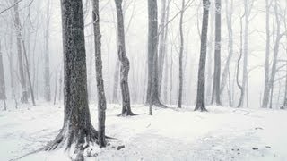 Предел Реальности (За Кадром)