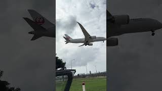 Hello Japan Airlines✈️!