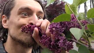 stop and frisk the flowers
