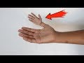 आँखों पे यकीन नहीं होगा Unbelievable Magic Tricks in Hindi