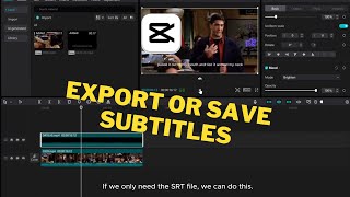 Easy Subtitle Exporting Tutorial for Windows & Mac | Step-by-Step Guide