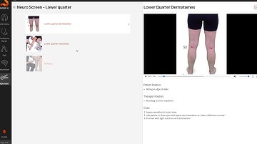 Physio U   Preview   ROM MMT App