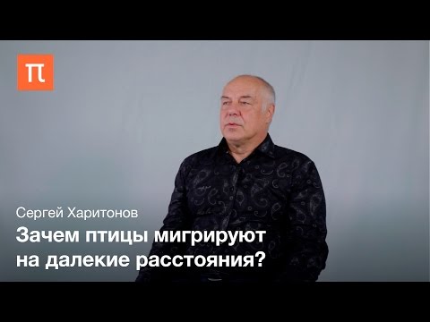 Миграция птиц Сергей Харитонов