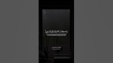 وما كان الله ليعذبهم وأنت فيهم، تلاوة خاشعة للقارئ #ياسر_الدوسري #قرآن #quran #اكسبلور #short