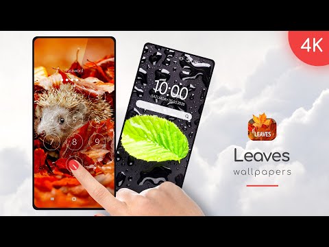 Imagen de la captura de pantalla