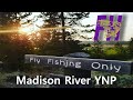 Yellowstone Hoppers: Part 2 (Fly Fishing the Madison)