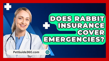 Does Rabbit Insurance Cover Emergencies? - PetGuide360.com