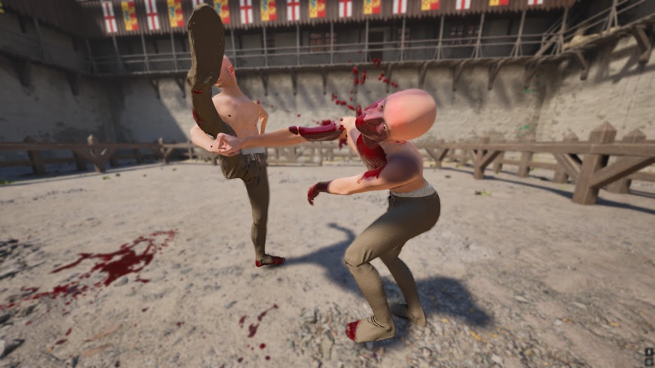 Spin kick Best Knockouts compilation 21/Half Sword