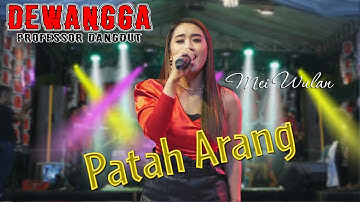 Patah Arang - Mei Wulan - Dewangga Professor Dangdut ( Live Music )