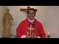 Homily on the Memorial of St Barnabas By Fr Jose Eudes Dos Santos SVD - June 11, 2020