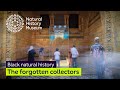 Museum Specimen Collection and Acknowledgment