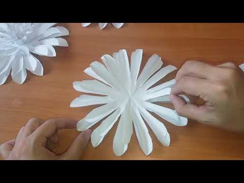 Бисексуалды отбасылық порно Эшли Олсен толығымен жалаңаш