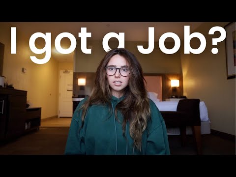The Job Market,