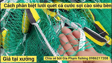 Cách phân biệt lưới quét cá cước sợi cào siêu bền. Net fishing.