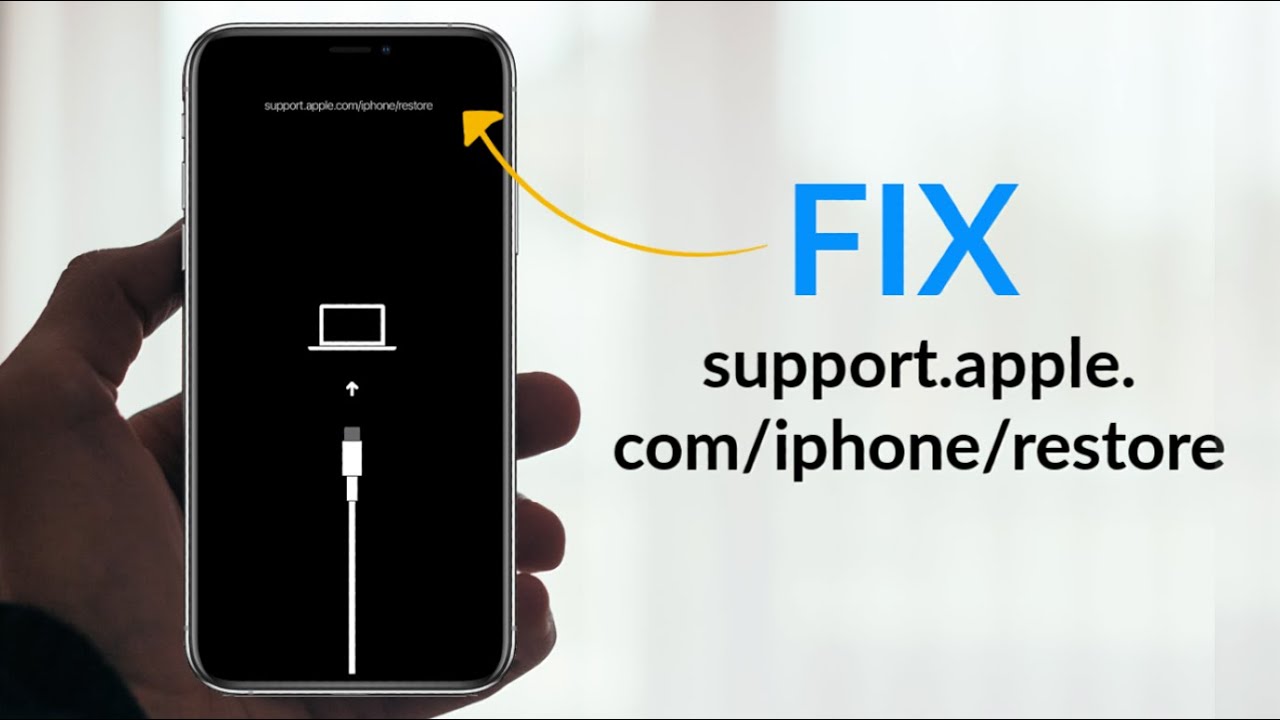 How to Fix support.apple.com/iphone/restore on iOS 14 iPhone 11