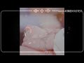 حالات واتس اب اغاني وريد ك حبيبي 