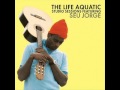 Seu Jorge - Changes (Cover)