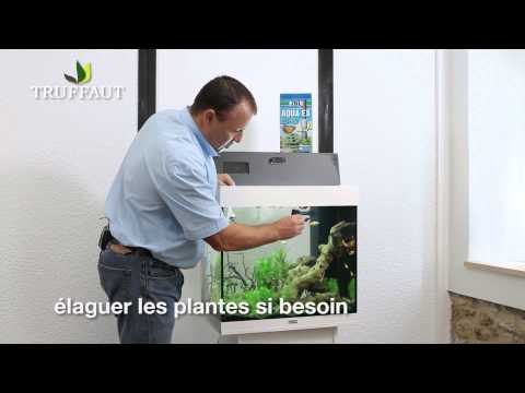 Vidéo: Comment Prendre Soin D'un Aquarium