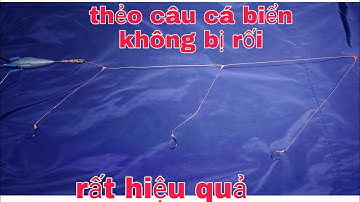 Cách làm thẻo câu cá biển gần bờ không bị rối | how to make sea fishing card