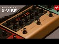 Гітарний ефект IK MULTIMEDIA Amplitube X-VIBE