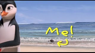 Surfs Up - Arnolds Zurfinary