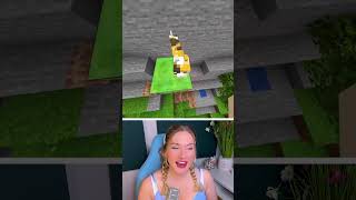Minecraft mit Katze