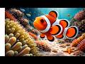 Amazing Aquarium Fish Feeding Frenzy | Relaxing Underwater Views