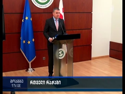 ოთარ დანელიამ რაჭაში რთველის დაწყებასთან დაკავშირებით განცხადება გააკეთა