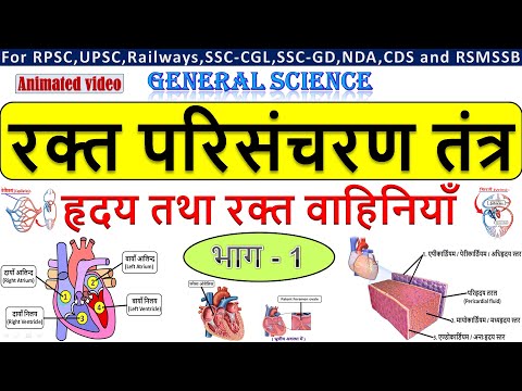 रक्त परिसंचरण तंत्र | हृदय व रक्त वाहिनियाँ | भाग - 1 | Structure of Heart | Biology | by StudyHUB