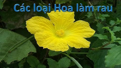 Giáo dục sớm Glenn Doman | các loại hoa dùng làm rau | dạy trẻ thông minh sớm