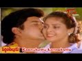 Peddinti Alludu Movie Songs || Kannukottu Kannukottu || Suman || Nagma