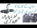 How To Treat Snake Bite Saanp Katne Ka Desi Ilaj Snake Bite Treatment In Urdu How To Treat Snake Bite Saanp Katne Ka Desi Ilaj Snake Bite Treatment In Urdu