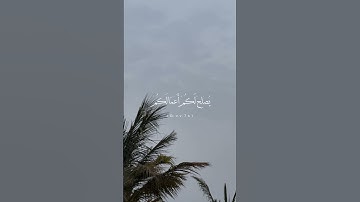 #القارئ #حميد_الشامسي