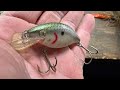 The Best Cold Water Crankbait 95% Of Anglers Don’t Use…