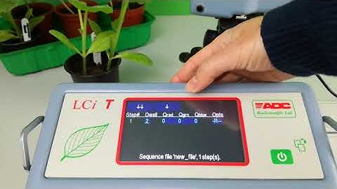 LCi T Section 14: Automatic Light Response Sequence