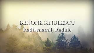 Benone Sinulescu - Radu mamii, Radule (versuri, lyrics, karaoke) chords