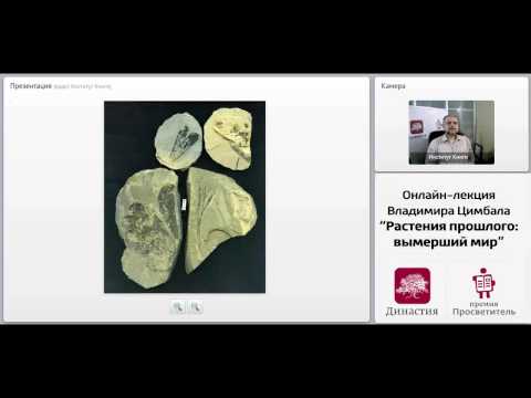 Лекция Владимира Цимбала «Растения прошлого: вымерший мир»