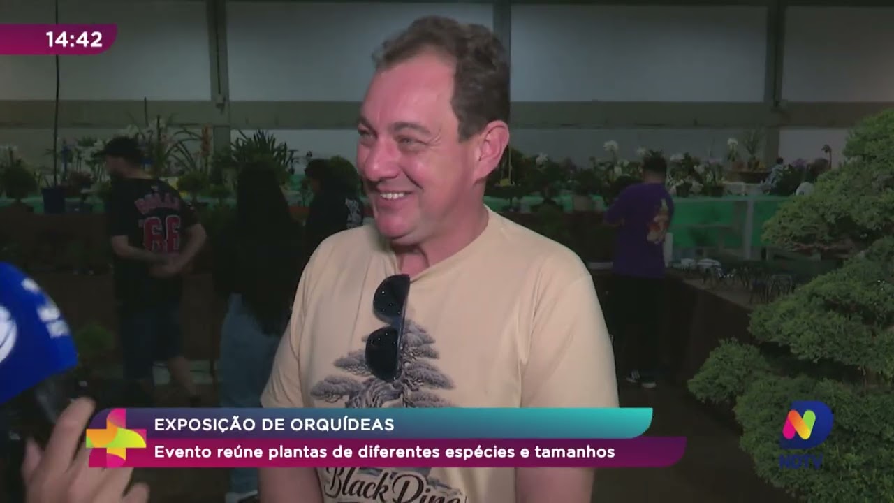 Exposição de Orquídeas: Evento reúne plantas de diferentes espécies e tamanhos - Foto